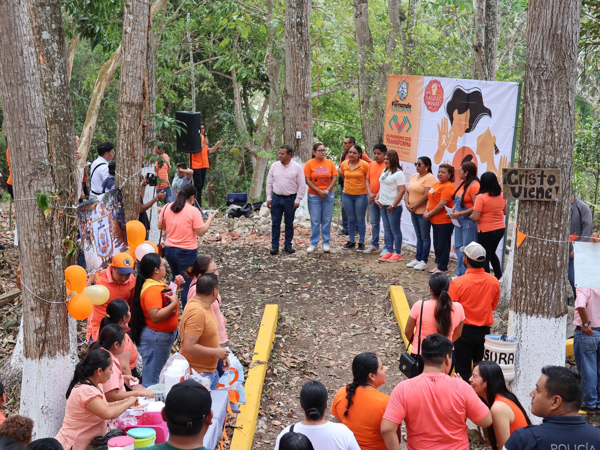 Galería de Fotos
