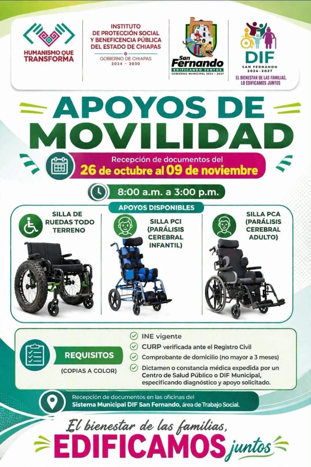 ¿Necesitas una silla de ruedas especial?